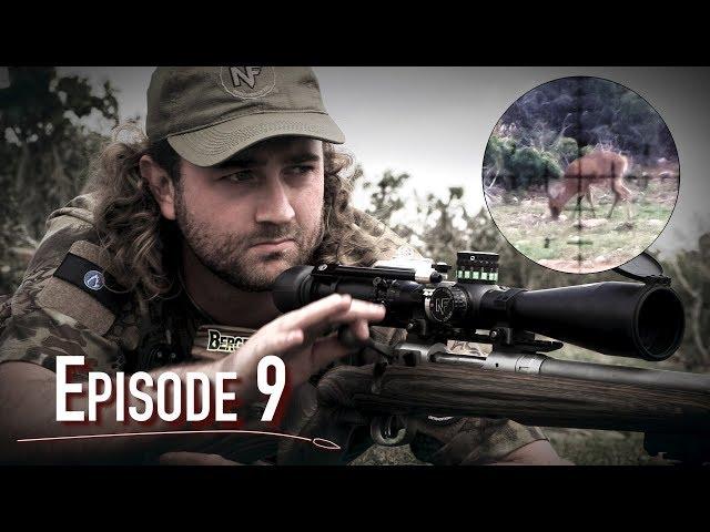 Vapour Trails, Episode 9: Thorndale Duiker Double