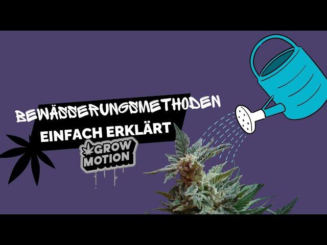 Cannabis Bewässerungsmethoden | Anbau Tipps | Homegrow