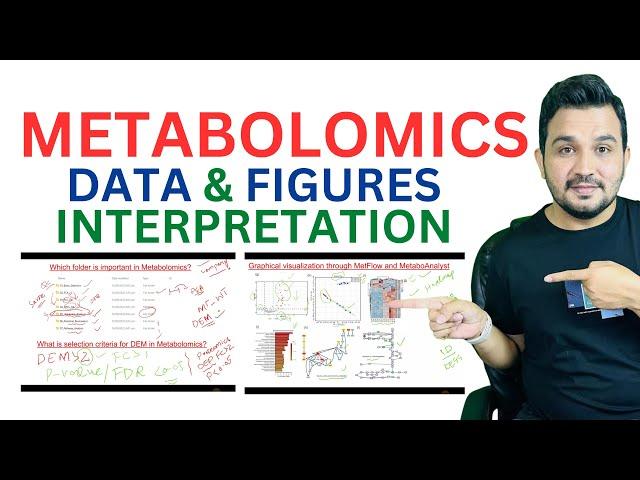 A bioinformatics guide to Metabolomic Data analysis interpretation