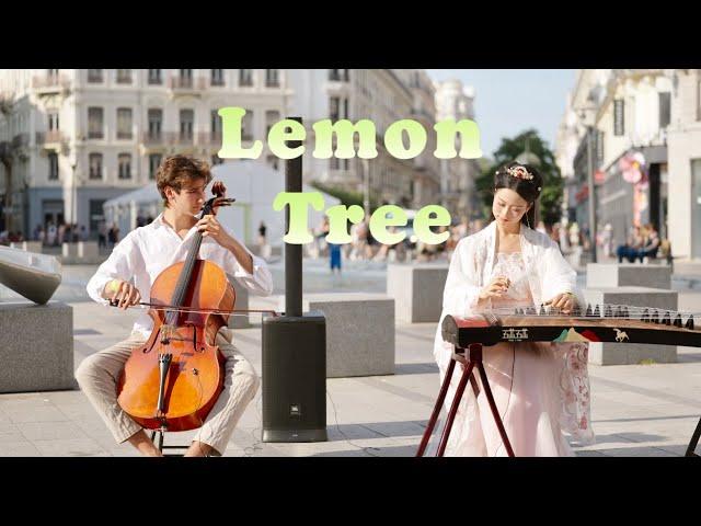 中西合璧｜Lemon Tree！古箏與大提琴一起刷新碰撞，刷新相遇Chinese Musical Instruments Guzheng Cover| 碰碰彭碰彭Jingxuan