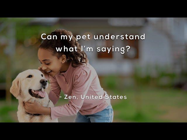 Can my pet understand what I'm saying?