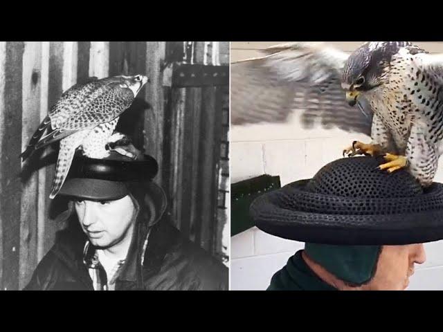 How an “F Hat” Helped Save a Species