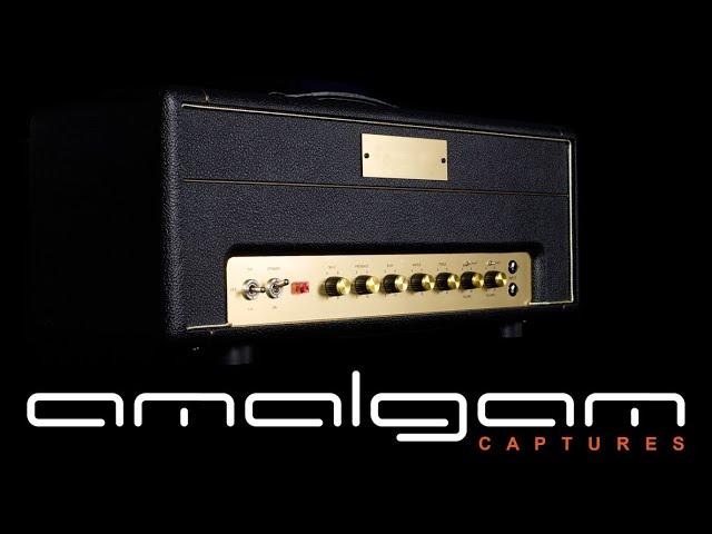 Friedman Plex DI Tone Model Demo and Playthrough by amalgam audio