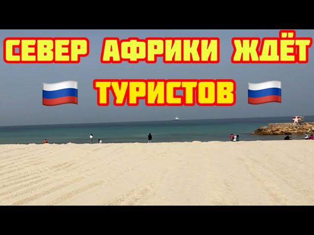 Тунис ждёт русских туристовСус-центр-набережная