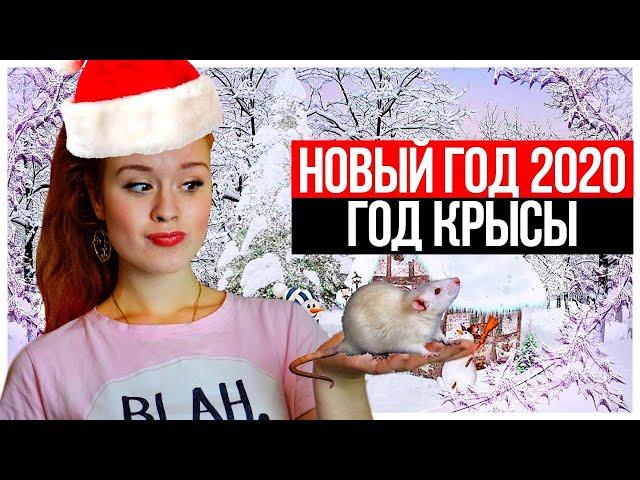 НОВЫЙ ГОД 2020!  ГОД КРЫСЫ!  КОРОЧЕ ГОВОРЯ, НОВЫЙ ГОД!