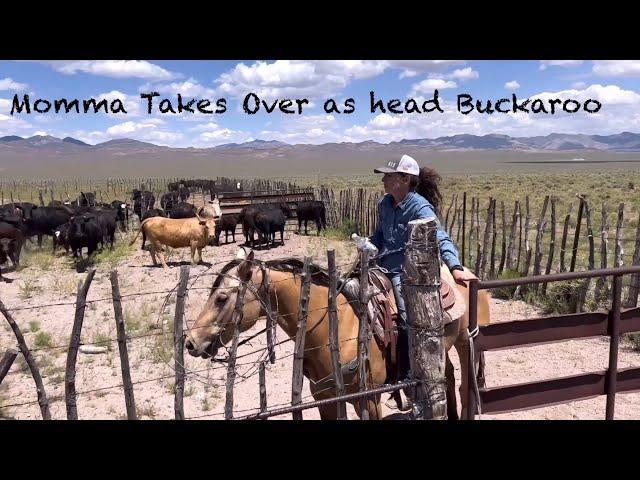 Head Cowgirl corrals a HERD