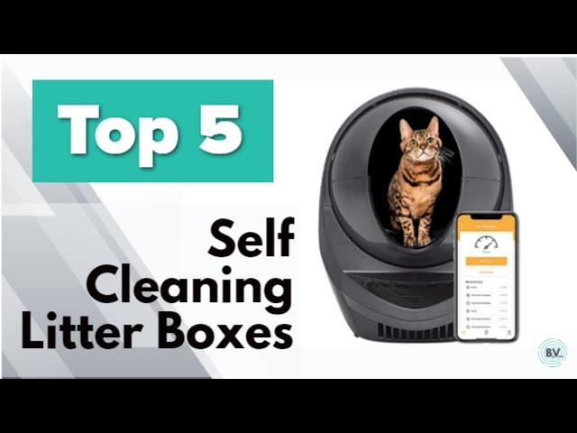 Self Cleaning Litter Box From Amazon - 5 Automatic Litter Box Cleaners