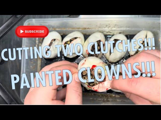 STRANGER CLOWN AND PAINTED CLOWN EGG CUTTING!!