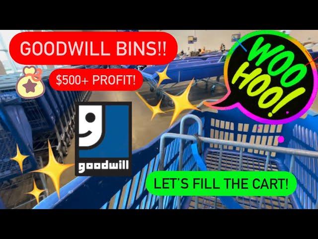 Let’s Find Treasure At GOODWILL BINS! Thrift With Me For Resale On EBay! +HAUL