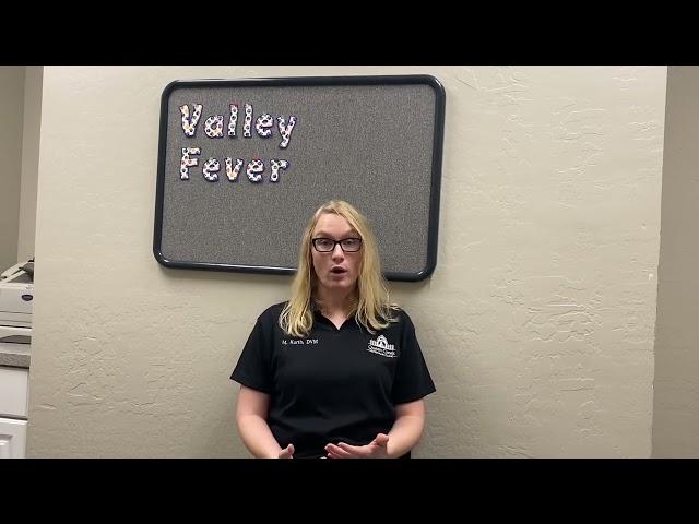 Valley Fever in dogs