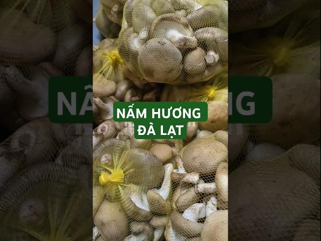 Nấm hương Việt tuy mã không được mướt nhưng chất lượng thì rất tuyệt vời.  #food #mushroom #namtht