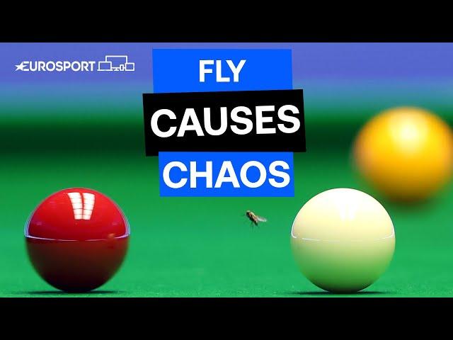 Mark Williams hilariously pots a FLY during his clash against Ali Carter 🪰 | The Masters 2024