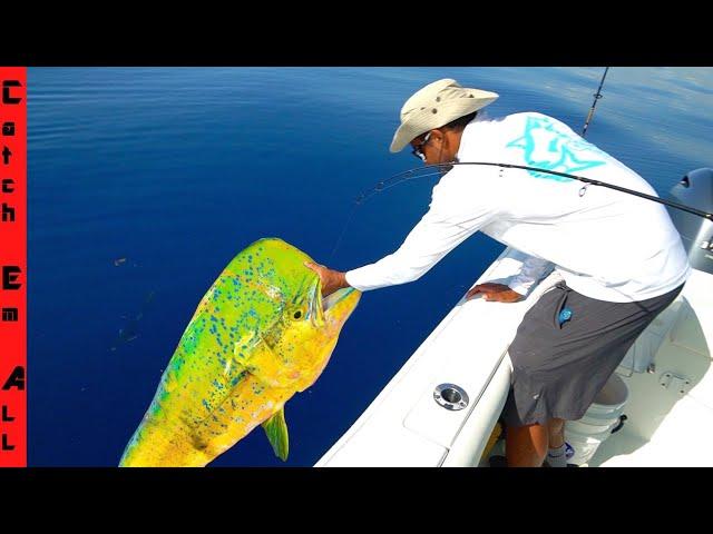 GIANT COLORFUL FISH Caught and COOKED! **California to Florida**