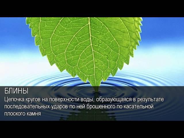 Блины. Толковый Видеословарь русского языка