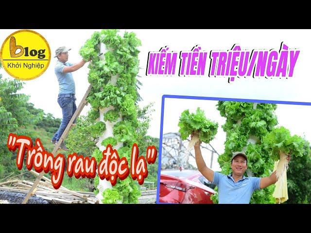 Kiếm tiền triệu mỗi ngày nhờ phương pháp trồng rau "độc lạ" này