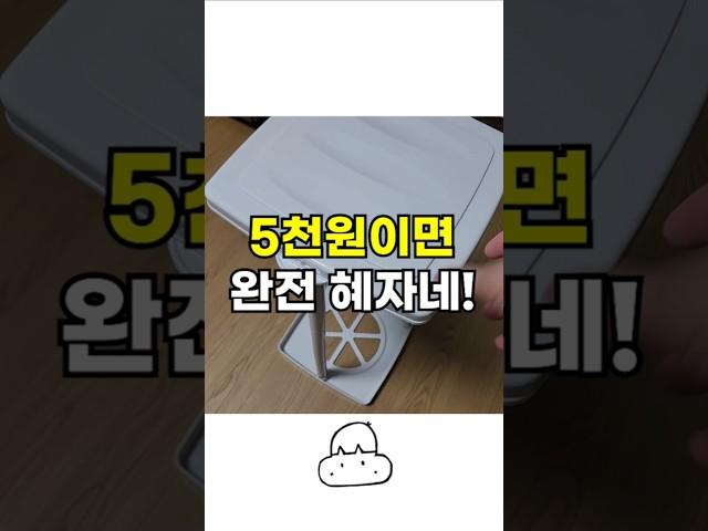 분리수거 도와주는 다이소 신상 꿀템