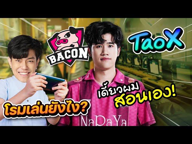 ROV: ความลับที่ผู้เล่น 99% ไม่รู้เกี่ยวกับโรมมิ่ง TaoX