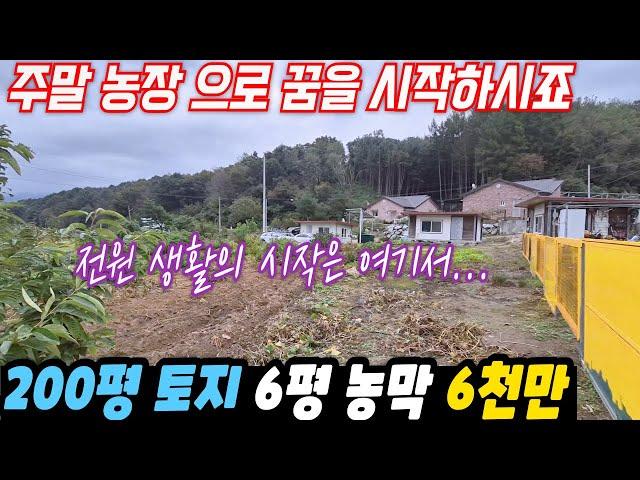 (주말농장) 전원생활의 시작은 여기서 해보세요 // 200평 토지 와 농막 6천만원