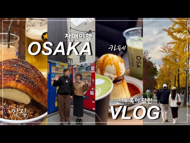 오사카여행vlog 동생 커플과 함께 한 2박3일 일본 여행. 자매라서 행복해요️ | 오사카 맛집 | 오사카 단풍 | e패스 200% 활용하기 | 피크민 꽃 잔뜩 얻고 오기