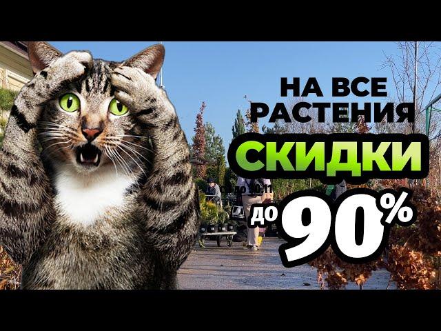 Открытие финальной распродажи в Ромашкино Парк