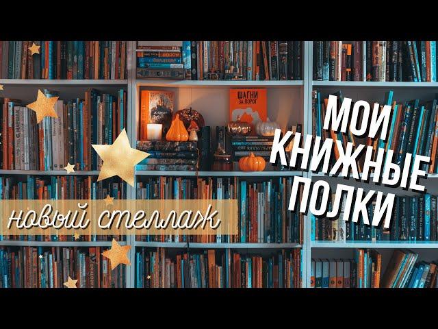 МОИ КНИЖНЫЕ ПОЛКИ: собираем новый книжный шкаф, расставляем книги по полкам, новый книжный тэг
