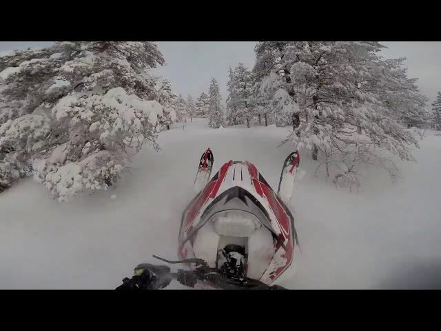 2017 Yamaha Sidewinder Turbo 250hp in deep powder.