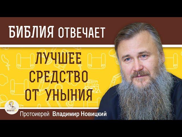 ЛУЧШЕЕ СРЕДСТВО ОТ УНЫНИЯ. Протоиерей Владимир Новицкий