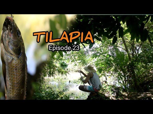 Catching fresh Tilapia and cook for my dinner | Philippine countryside | inspired by PROMDI BOY