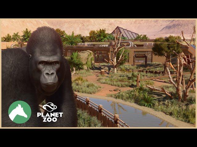 Gorilla Indoor & Outdoor Habitat | Desert Adventure Park | Planet Zoo