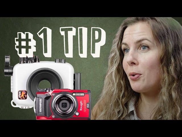 The BEST Piece of Advice as a Beginner Underwater Photographer