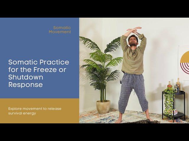 Somatic Practice for the Freeze or Shutdown Response