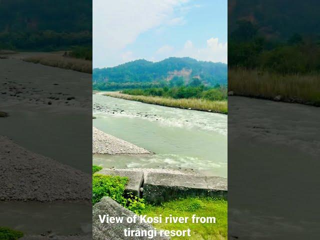 View of Kosi river from resort in jim nagar