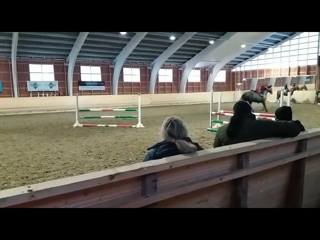 Not so perfect riding lesson. part 1