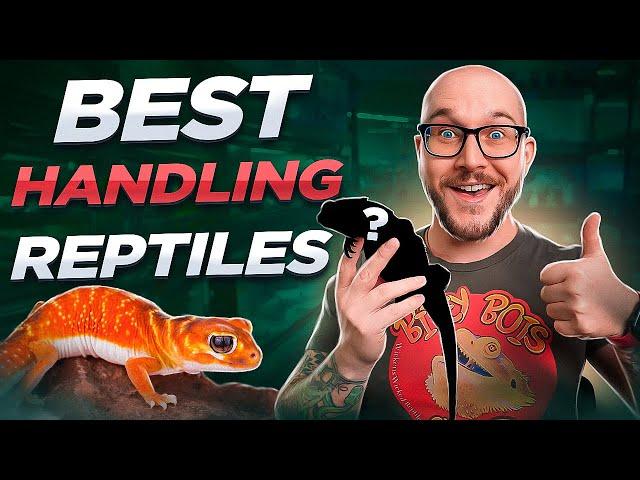 The Most Handleable Pet Reptiles! No Bites, Just Love!