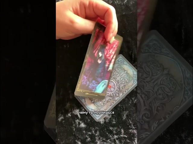 Стоит ли обучаться на выбранных курсах и что это принесёт? Расклад Таро