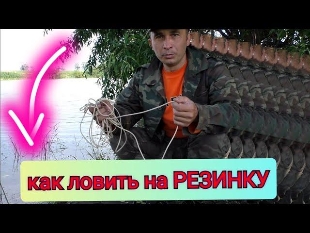 Как сделать снасть резинка! Рыбалка на резинку, ловля судака и карася, рыбалка на Дону 2021
