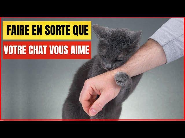 10 façons scientifiques de vous faire aimer par un Chat | Incroyablement Top