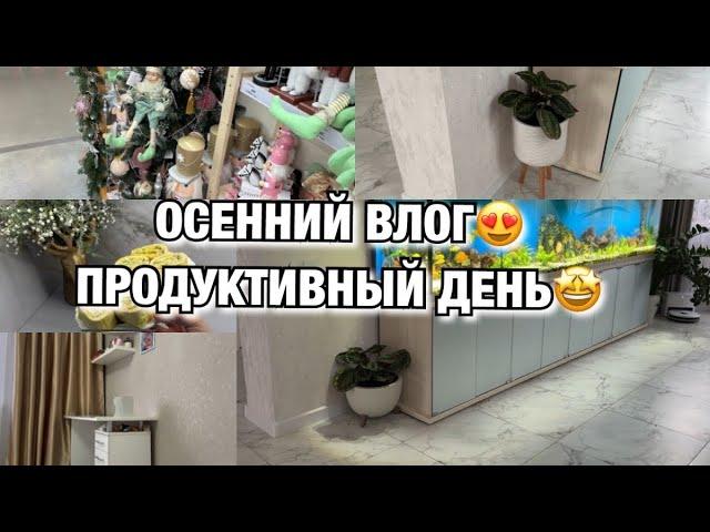 ОСЕННИЙ ВЛОГ! ОЧЕНЬ ПРОДУКТИВНЫЙ ДЕНЬ! ШОПИНГ! ГОТОВИМ! ПЕРЕСАДКА! Будни Мамы Влог