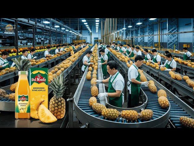 How to Make Pineapple Juice at Del Monte Factory  - Processing Factory | Farming Documentary