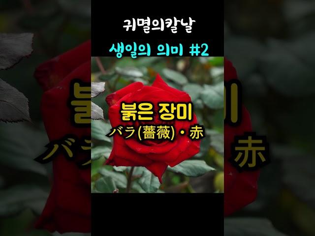 귀멸의칼날 캐릭터들 생일의 의미 2편