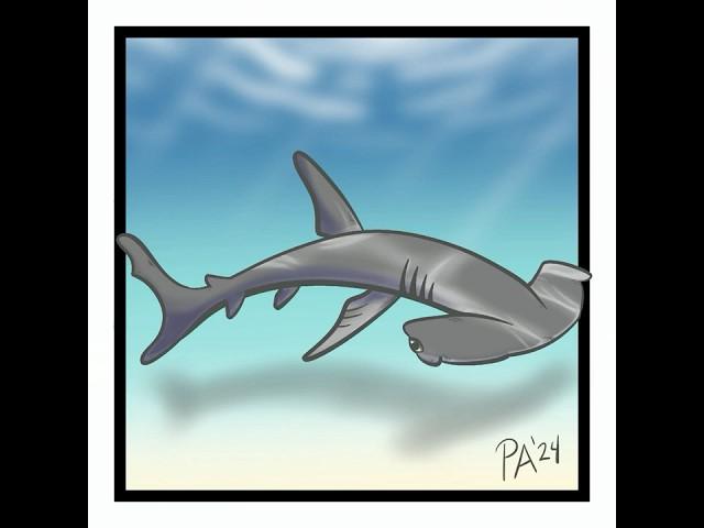 Hammerhead Shark in the Shallows Time-lapse #art #drawing #procreate