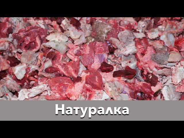  Натуралка без овощей - почему? 