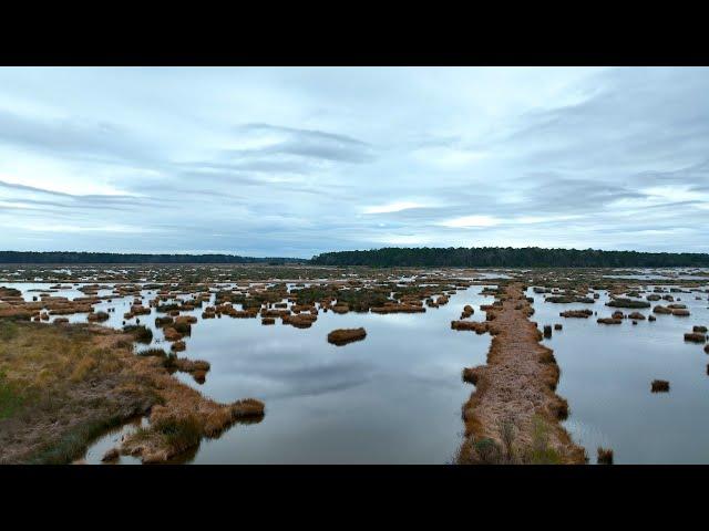See the Deep South - a Charleston SC Real Estate Tour