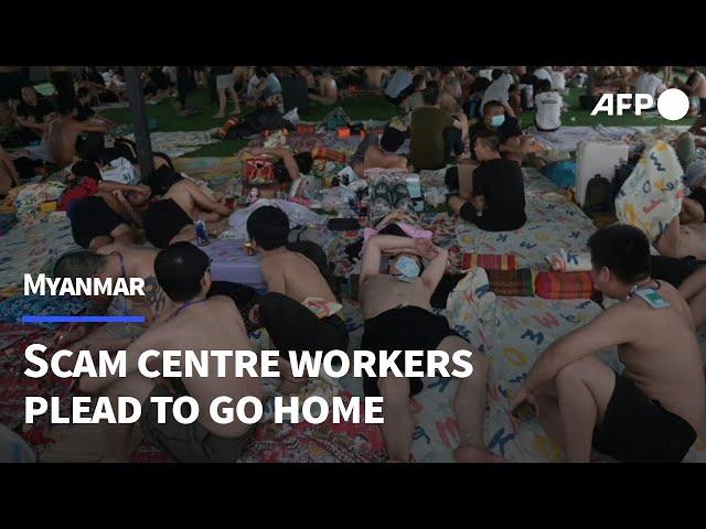 Myanmar scam centre workers plead to go home after 'escaping hell' | AFP