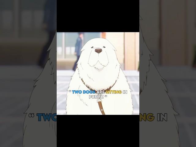 Anime - spy x family