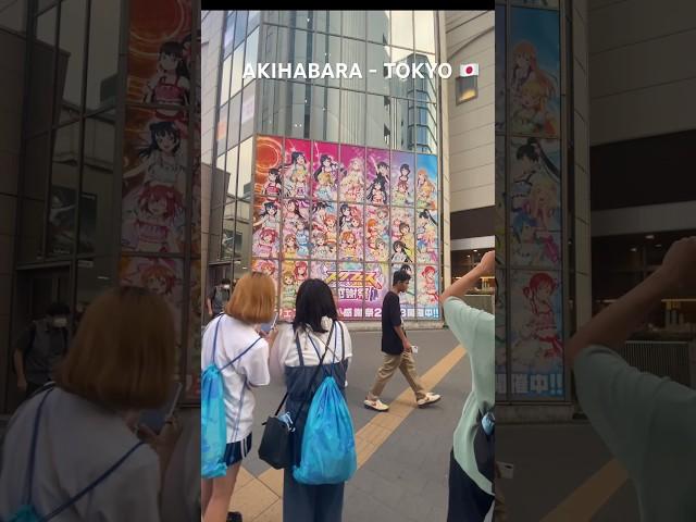  아키하바라에서…  #아키하바라 #오타쿠 #일본여행 #일본 #도쿄 #akihabara #tokyo #japan #japanwalk