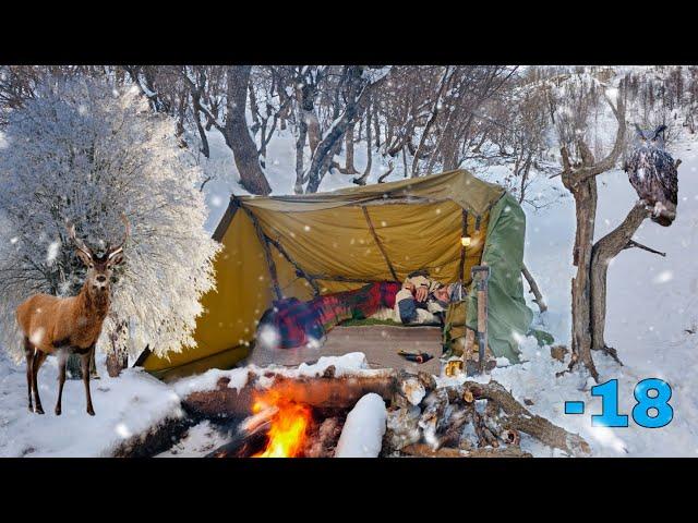 How not to freeze to death in the Wild forest in winter. Bushcraft shelter _ campfire for survival.