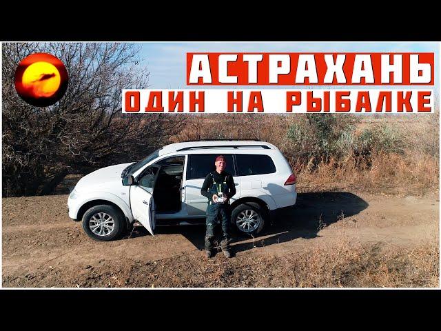 Это МЕЧТА! Рыбалка в Астрахани / Лучший Отдых на Природе у Реки