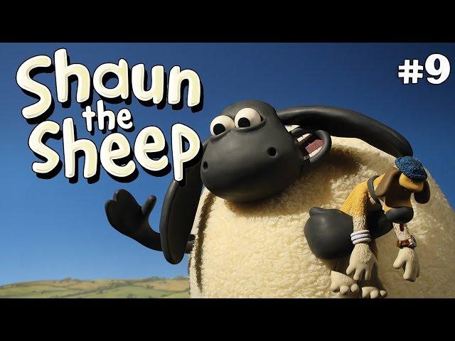 Supersized Timmy | Shaun the Sheep Season 2 | Full Episode