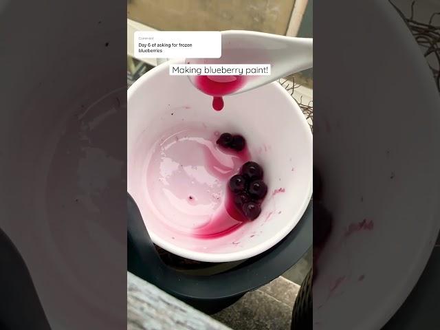 Making #naturalpaint with frozen blueberries 🫐 #hanselah #ecoart #cottagecore #naturaldye #diypaint